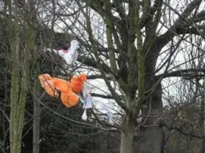 Plastic bags caught in trees