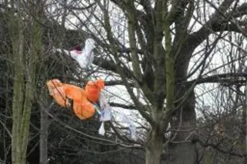 Plastic bags caught in trees