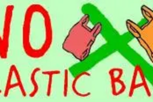 No Plastic Bags