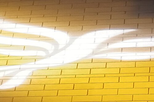 Lib Dem logo bird projected on blockwork