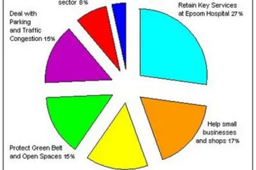 Pie chart of survey data