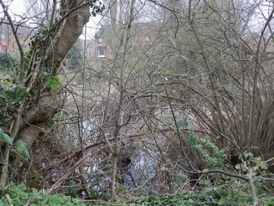 stones road sssi pond