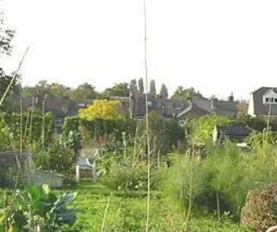 Allotment site