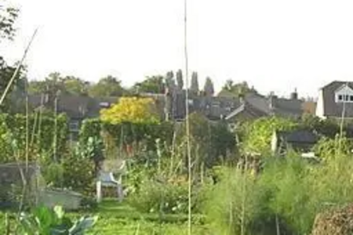 Allotment site