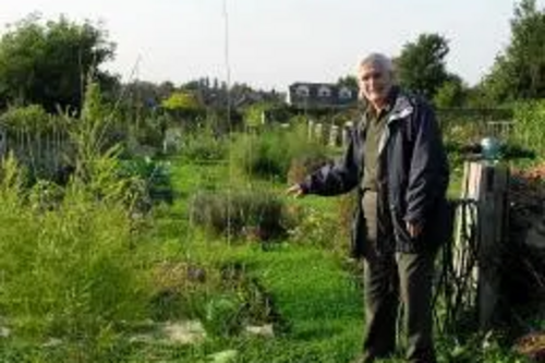 Allotment site