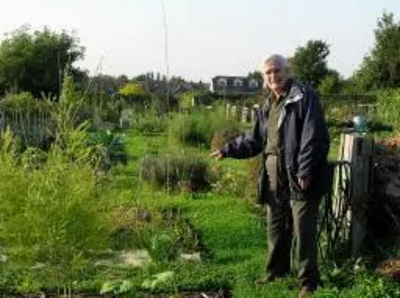 Allotment site