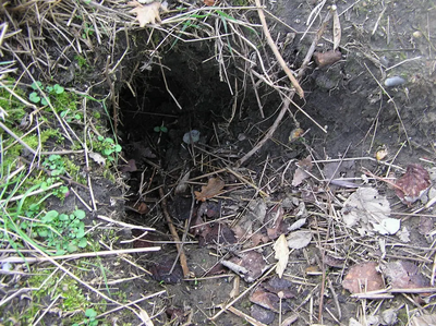 Sett entrance